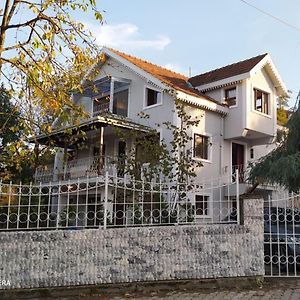 Yazlık Villa